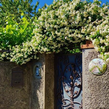 La Primavera Anacapri  Dış mekan fotoğraf